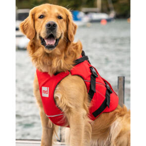 RED PADDLE CO DOG PFD