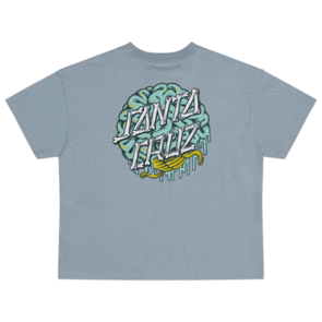 SANTA CRUZ BRAIN DOT CENTRE TEE SLATE