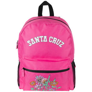 SANTA CRUZ FIELD ARCH BACKPACK PINK