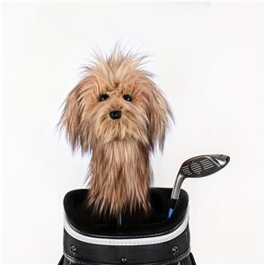 DAPHNE'S ANIMAL HEADCOVER SCRUFFY DOG