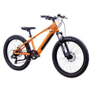 SHOTGUN ZIPPY 24" MTB