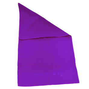 SWIM-DRY SPORTS/GYM TOWEL PURPLE