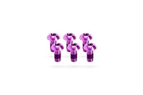 KOGEL TITANIUM ROTOR BOLTS PURPLE