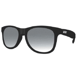 VANS SPICOLLI SHADES BLACK SILVER MIRROR