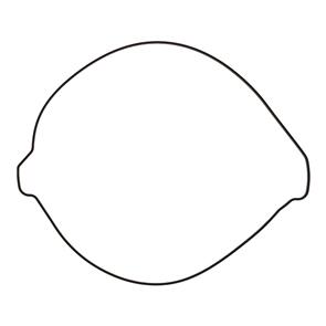 VERTEX OUTER CLUTCH GASKET KIT 819267