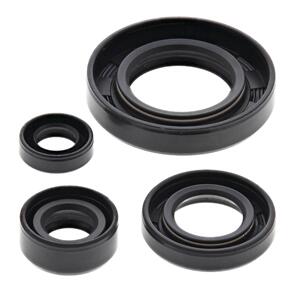 VERTEX OIL SEAL KIT 822195
