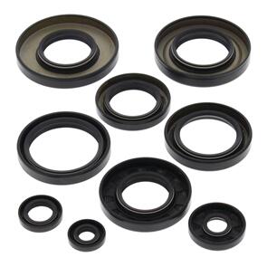 VERTEX OIL SEAL KIT 822247