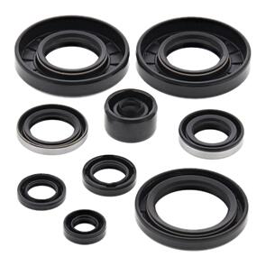 VERTEX OIL SEAL KIT 822292