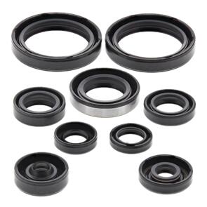 VERTEX OIL SEAL KIT 822316
