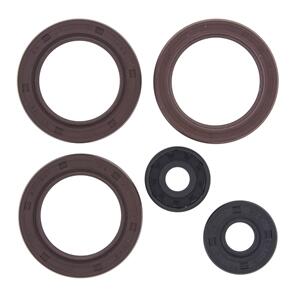 VERTEX VER822362 OIL SEAL KIT 822362