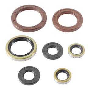 VERTEX OIL SEAL KIT 822372