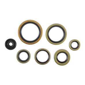 VERTEX OIL SEAL KIT 822976