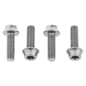 WOLF TOOTH WATER BOTTLE CAGE BOLTS - 4PCS - SILVER