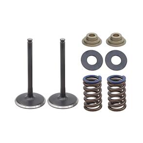 PSYCHIC INLET VALVE KIT PSYCHIC MX INCLUDES 2 VALVES, 2 SPRINGS, RETAINERS & SEATS