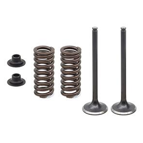 PSYCHIC EXHAUST VALVE KIT PSYCHIC MX INCLUDES 2 VALVES, 2 SPRINGS, RETAINERS & SEATS