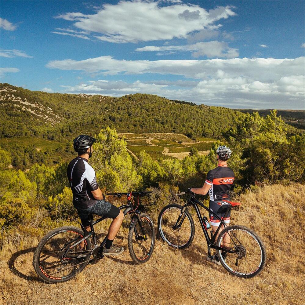 Michelin Force Access Line 29X2.4 view 2