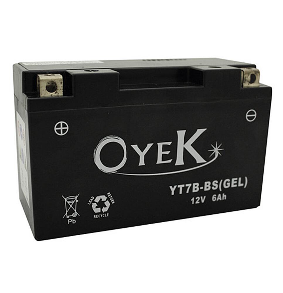 Oyek Yt4b-Bs Gel Agm Maint. Free - Can Repl. Yt4-B4
