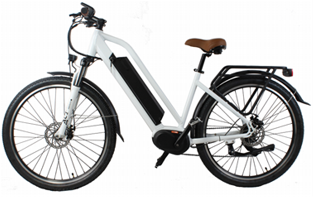 Charged Electric Bicycle 48V