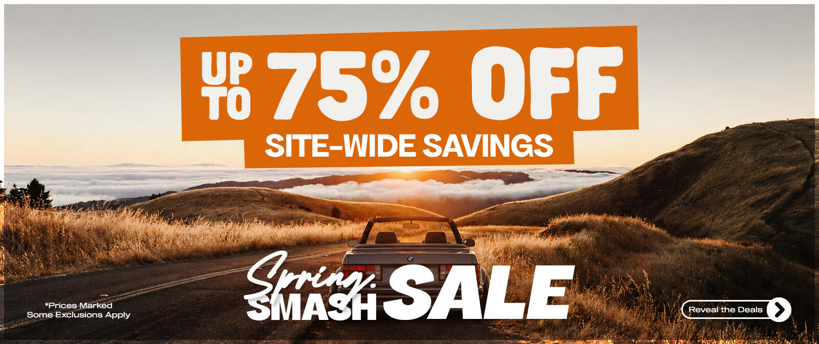 Main Sale Banner