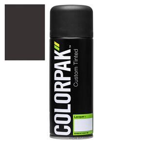 COLORPAK COLOURSTEEL AEROSOL SPRAYPAINT SLATE
