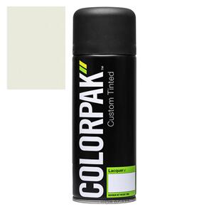 COLORPAK COLOURSTEEL AEROSOL SPRAYPAINT CLOUD
