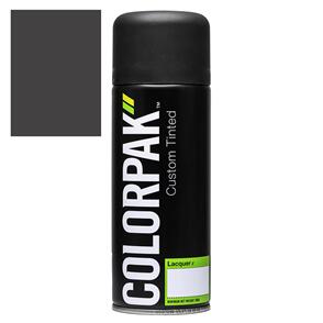 COLORPAK COLOURSTEEL AEROSOL SPRAYPAINT TERNSTYLE