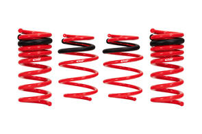 EIBACH 4.10528 DODGE CHARGER / CHRYSLER 300C / CHRYSLER 300 | SPORTLINE-KIT