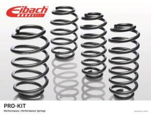 EIBACH E10-85-024-01-22 SPRING SET