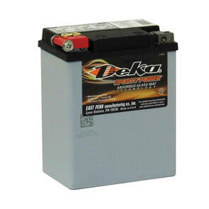 DEKA BATTERIES ETX15 POWERSPORT BATTERY