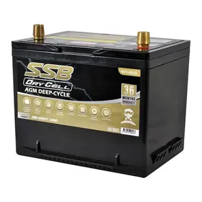 SSB BATTERY HVT-50LD AGM 12V 12AH AUTOMOTIVE BATTERY