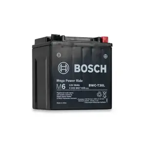 BOSCH RBWC-T30L | YTX30 12V 30AH (+R) | POWERSPORT BATTERY