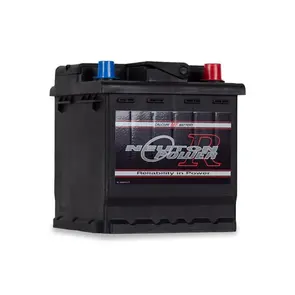 NEUTON POWER LN0 | DIN40 MF AUXILIARY BATTERY