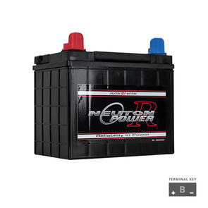 NEUTON POWER BATTERY MF 300 CCA LAWNMOWER BATTERY