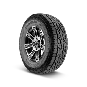 NEXEN ROADIAN RO-AT PRO RA8