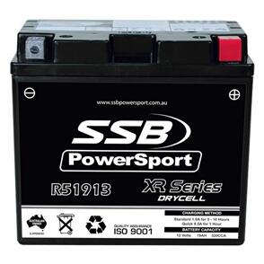 SSB MOTORCYCLE AND POWERSPORTS BATTERY (Y51913) AGM 12V 19AH 320CCA BY SSB HIGH PERFORMANCE