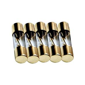 METRA AGU FUSES 30 AMP FUSE 5 PACK RAPTOR